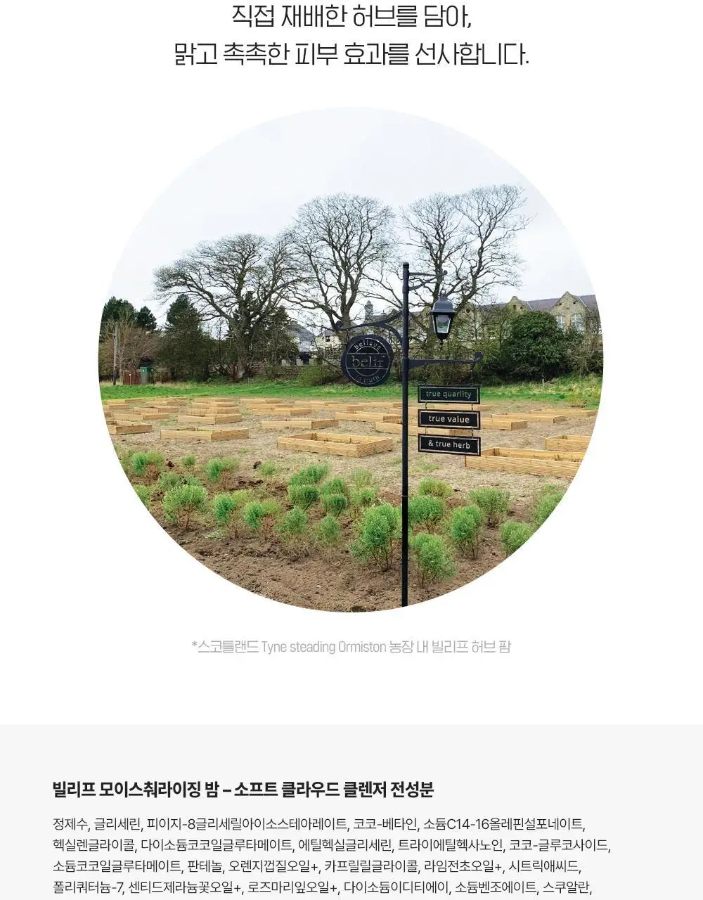 [버블폭탄] 빌리프 모이스춰라이징 밤 소프트 클라우드 클렌저 150ml 기획 (+소프트 클렌징 패드) 상세페이지 32